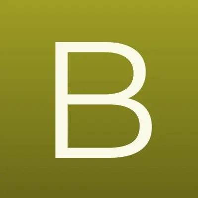 Балахнинская картонная фабрика, лого-визитка
