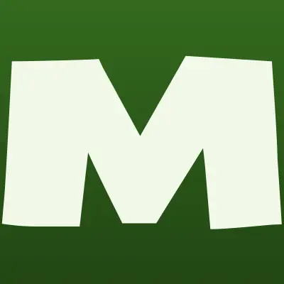 Магазин цветов, шаров и игрушек, лого-визитка